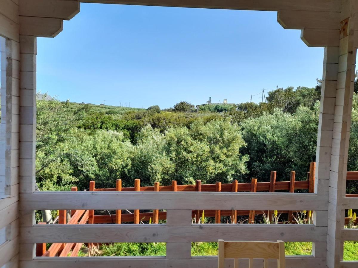 Villa Evenos Of 3 Bedrooms - Irida Country House Of 2 Bedrooms With Private Pools 埃拉福尼西岛 外观 照片
