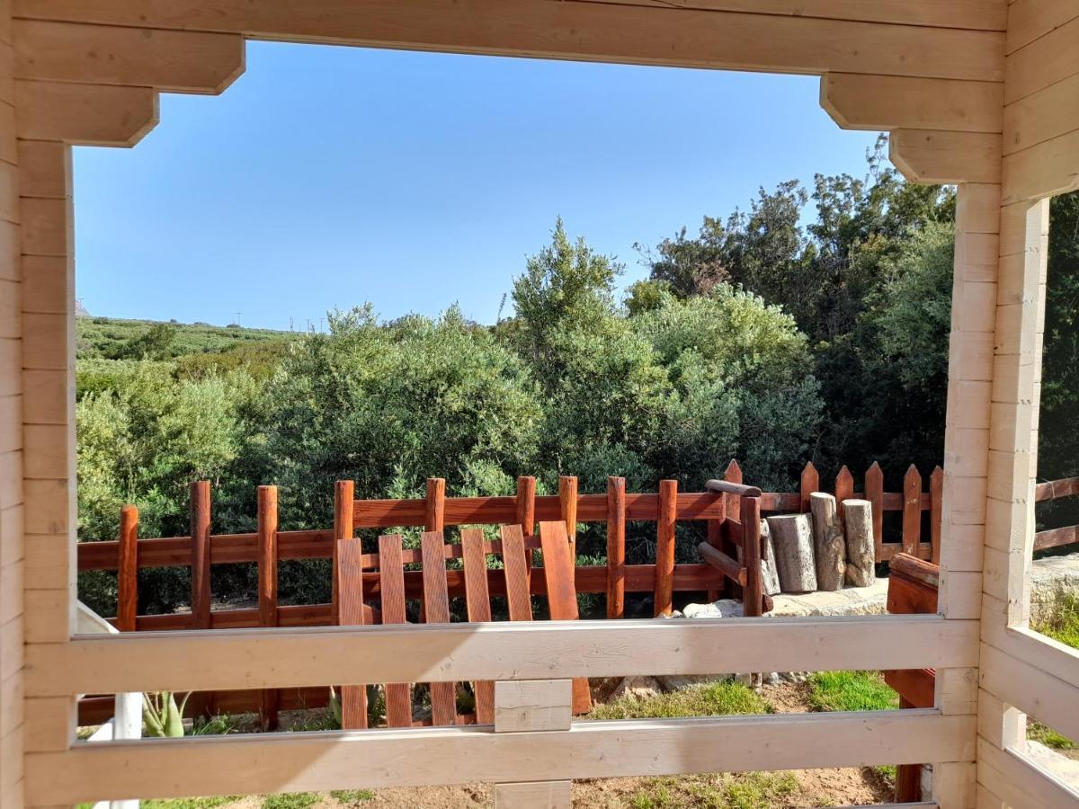 Villa Evenos Of 3 Bedrooms - Irida Country House Of 2 Bedrooms With Private Pools 埃拉福尼西岛 外观 照片