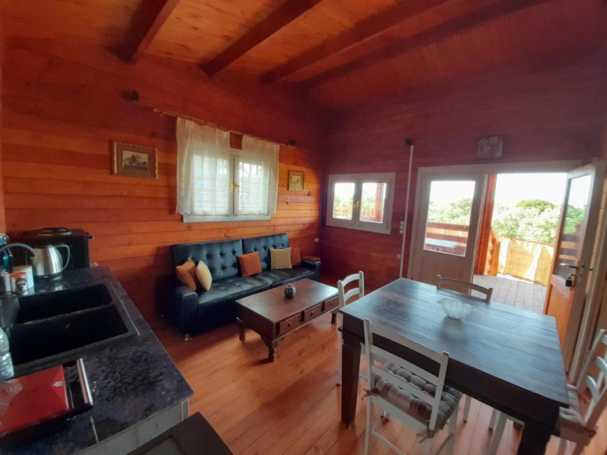 Villa Evenos Of 3 Bedrooms - Irida Country House Of 2 Bedrooms With Private Pools 埃拉福尼西岛 外观 照片